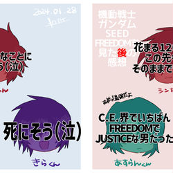 This is a pixiv picture whose title is SEEDFREEDOM見てきた.