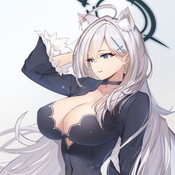 This is a pixiv picture whose title is シロコ.