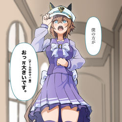 This is a pixiv picture whose title is 構ってほしいシュヴァルが自分の強みを強調する話.