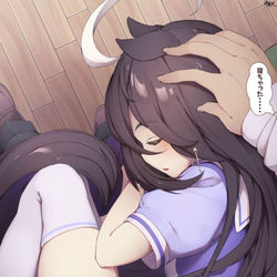This is a pixiv picture whose title is トレーナーの膝の上でおねんねカフェさん.