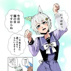 This is a pixiv picture whose title is 猫の日セイちゃん.