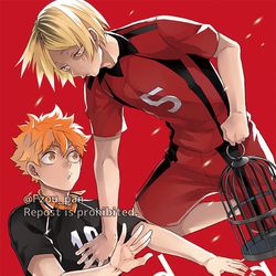 This is a pixiv picture whose title is 【WEBb再録】研日.