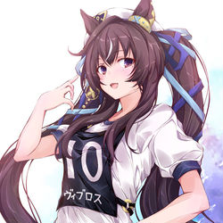 This is a pixiv picture whose title is ヴィブロス.
