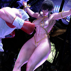 This is a pixiv picture whose title is Chun-Li Punching Bag.