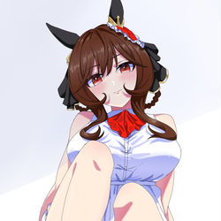 This is a pixiv picture whose title is くるみ割りジェンティルドンナ.