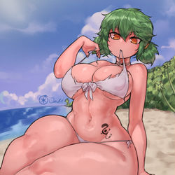 This is a pixiv picture whose title is Beach day Hikage!.