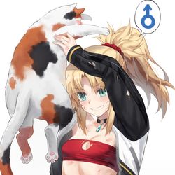 This is a pixiv picture whose title is 猫診断をするモードレッド.