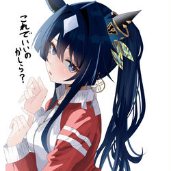 This is a pixiv picture whose title is シーナ、、、、ポニーテール見せて、、、.