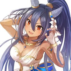 This is a pixiv picture whose title is ヒシアマ姐さん.