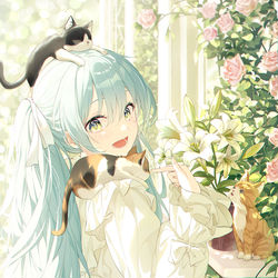 This is a pixiv picture whose title is ⚜️🐈‍⬛.
