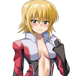 This is a pixiv picture whose title is カガリ！！.