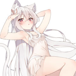 This is a pixiv picture whose title is 白猫ちゃん.