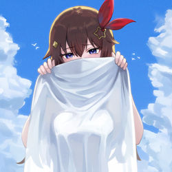 This is a pixiv picture whose title is ときのそら.