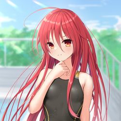 This is a pixiv picture whose title is 競泳水着シャナ.