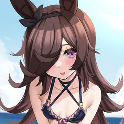 This is a pixiv picture whose title is 水着ライスちゃん.