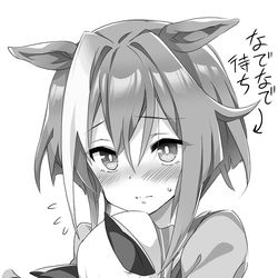 This is a pixiv picture whose title is トレーナーさんに撫でてほしいシュヴァルくん.