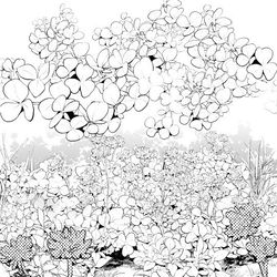 This is a pixiv picture whose title is クローバーブラシ.