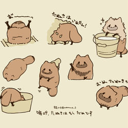 This is a pixiv picture whose title is ③嗚呼、たぬきはもうだめです.
