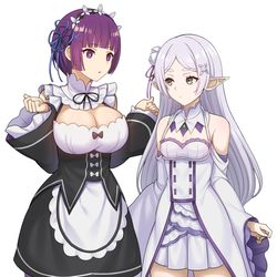This is a pixiv picture whose title is Re:ゼロから始める葬送生活.