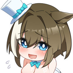 This is a pixiv picture whose title is シュヴァルグラン.