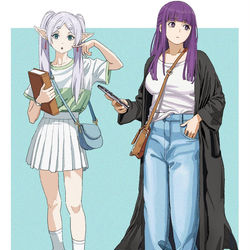 This is a pixiv picture whose title is Frieren x Fern.