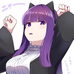 This is a pixiv picture whose title is ネコフェルン.