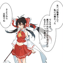 This is a pixiv picture whose title is 強大な敵を前に　霊夢と最期の別れになるかもしれない.