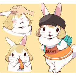 This is a pixiv picture whose title is ワンピースらくがき.