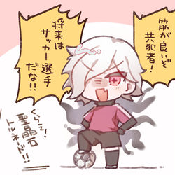This is a pixiv picture whose title is サッカー.