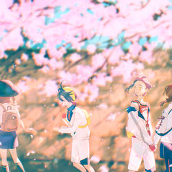 This is a pixiv picture whose title is 桜、咲く、君の隣.