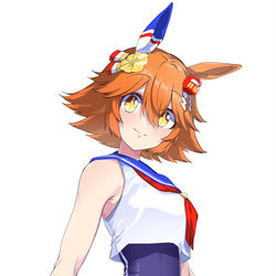 This is a pixiv picture whose title is セーラー水着フクちゃん.