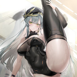 This is a pixiv picture whose title is 托特体操.