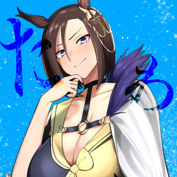 This is a pixiv picture whose title is エアグルーヴの絵.