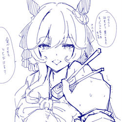 This is a pixiv picture whose title is 淑女のたしなみンナ.