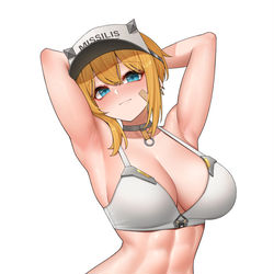 This is a pixiv picture whose title is マクスウェル.