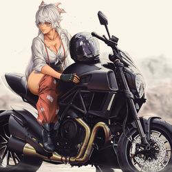 This is a pixiv picture whose title is Touhou Rider.
