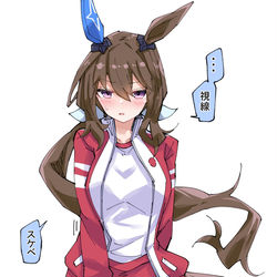 This is a pixiv picture whose title is ブルマなアヤベさん.