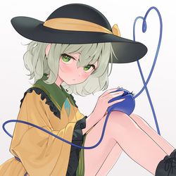 This is a pixiv picture whose title is こいし.