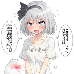 This is a pixiv picture whose title is シュレディンガーの裸Tシャツ妖夢ちゃん.