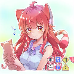 This is a pixiv picture whose title is まちカドニャぞく.
