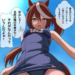 This is a pixiv picture whose title is トウカイテイオー生誕祭2024.