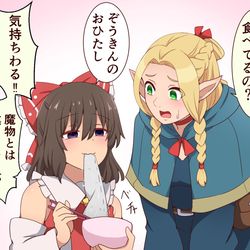 This is a pixiv picture whose title is マルシル in 幻想郷飯.