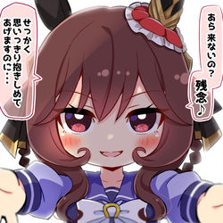 This is a pixiv picture whose title is 【ウマ娘】ハグ待ちのジェンティルさん.