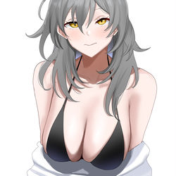 This is a pixiv picture whose title is Stelle.