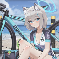 This is a pixiv picture whose title is シロコ.