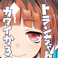 This is a pixiv picture whose title is 新刊予約開始のお知らせ.