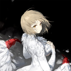 This is a pixiv picture whose title is 法琳.