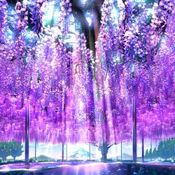 This is a pixiv picture whose title is 藤の樹海.