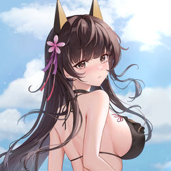 This is a pixiv picture whose title is 赤城(戦艦少女).