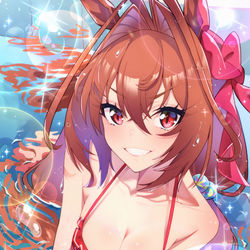 This is a pixiv picture whose title is ダイワスカーレット.